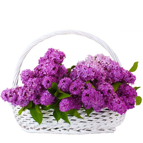 Цветы в корзине «Сиреневая сказка»